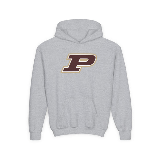 Pineville Mountain Lions Power P Youth Hoodie | The Narrows Co.