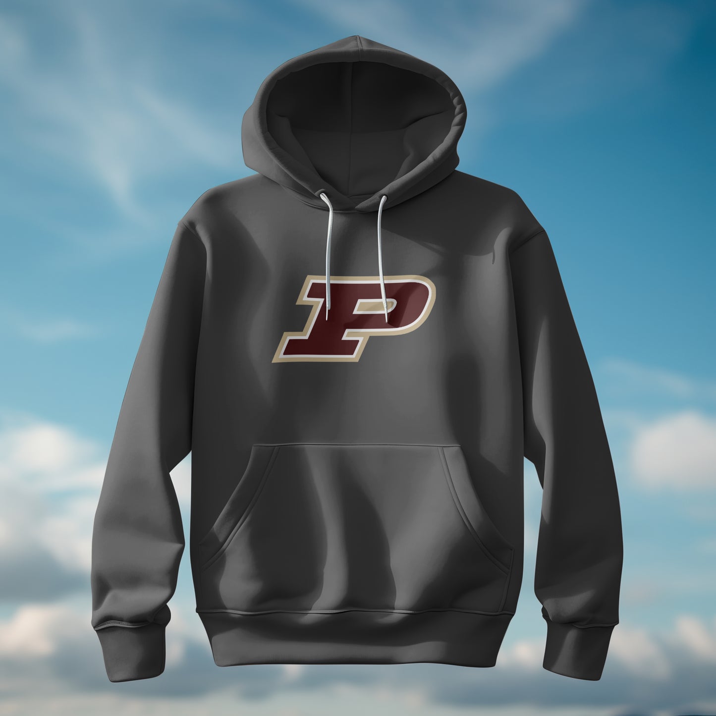 Pineville Mountain Lions Power P Hoodie | The Narrows Co.
