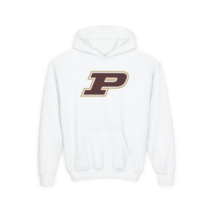Pineville Mountain Lions Power P Youth Hoodie | The Narrows Co.