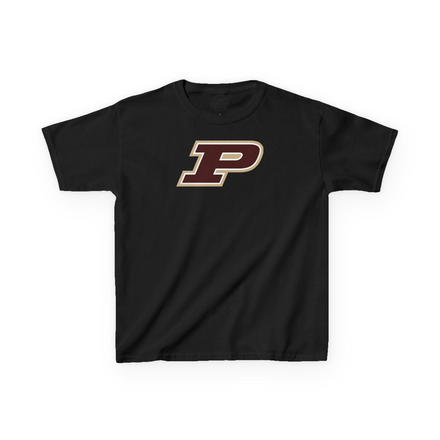 Pineville Mountain Lions Youth Tee | The Narrows Co.