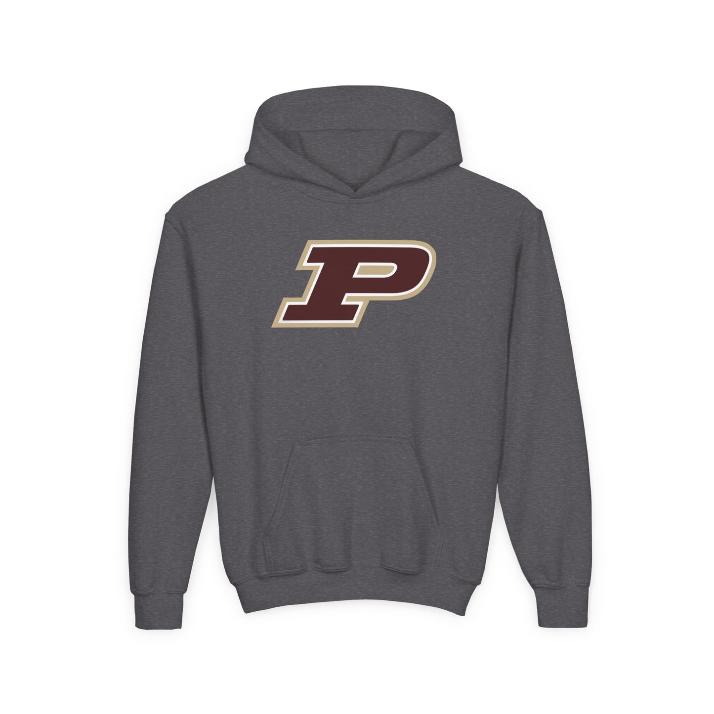 Pineville Mountain Lions Power P Youth Hoodie | The Narrows Co.
