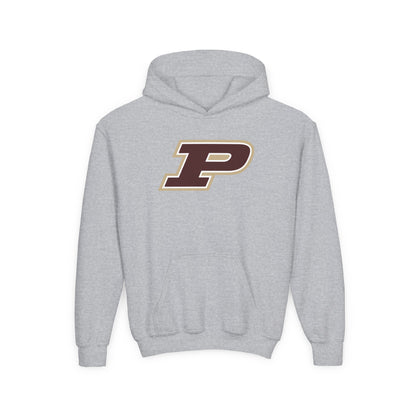 Pineville Mountain Lions Power P Youth Hoodie | The Narrows Co.