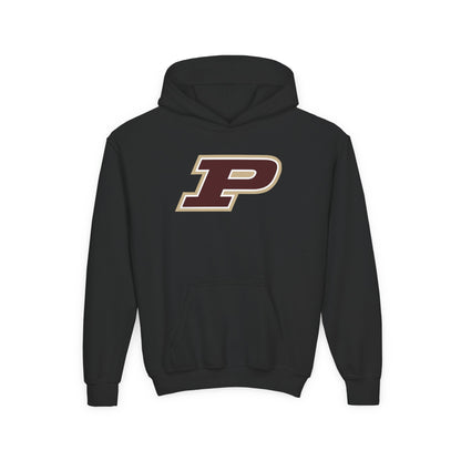 Pineville Mountain Lions Power P Youth Hoodie | The Narrows Co.