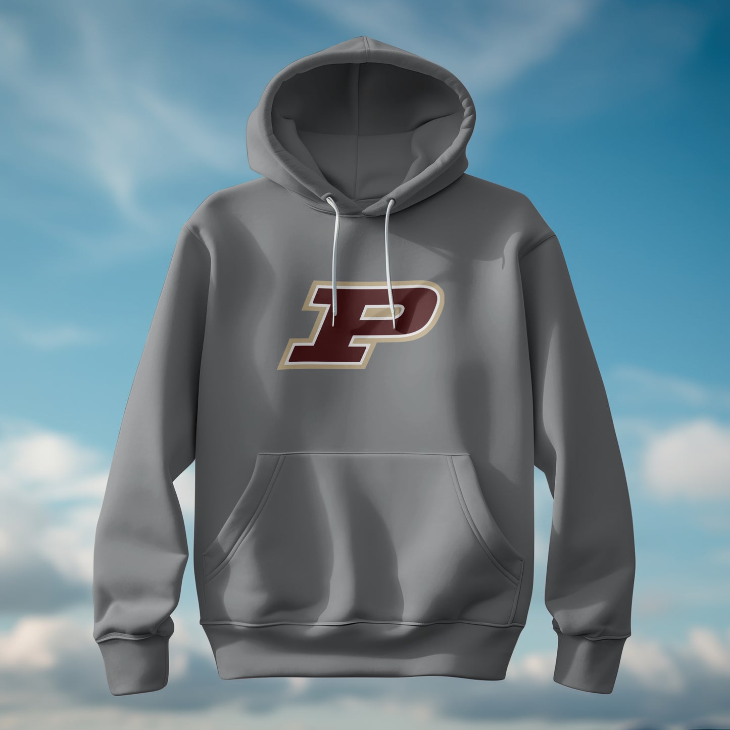 Pineville Mountain Lions Power P Hoodie | The Narrows Co.